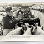 A set of old photos老照片一组 - Image 2