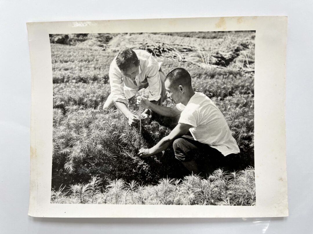 A set of old photos老照片一组 - Image 12