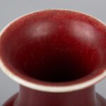 Langyao red plum vase, 19th century郎窑红梅瓶 十九世纪 - Image 7