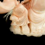 Coral Carved Fertility Buddha statue, Republic of China珊瑚 送子佛 民国 - Image 6