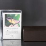The Royal International Gold collection of official first-day covers, 45 pages; The Royal International Gold collection of official first-day covers, 45 pages; birds of the world stamp collection IAF 12 pages皇家國際金裝官方首日封面系列 45 页，世界鳥類郵票收藏 IAF 12 頁 - Image 5